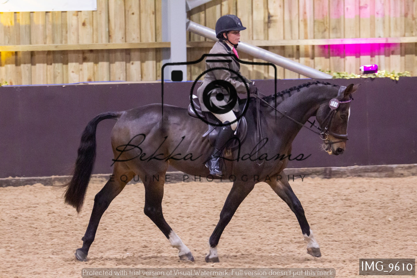JHOYS Ridden Showing Group 1
