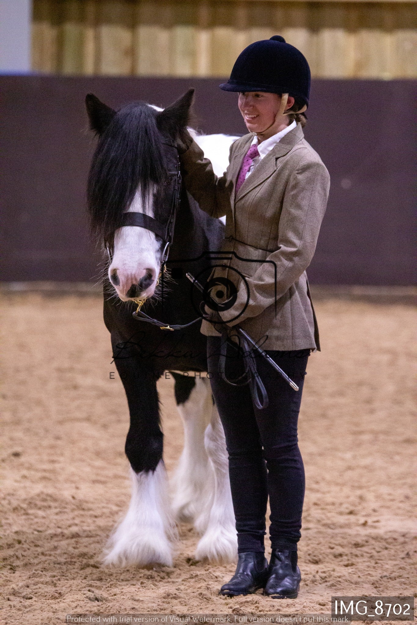 JHOYS In Hand Showing