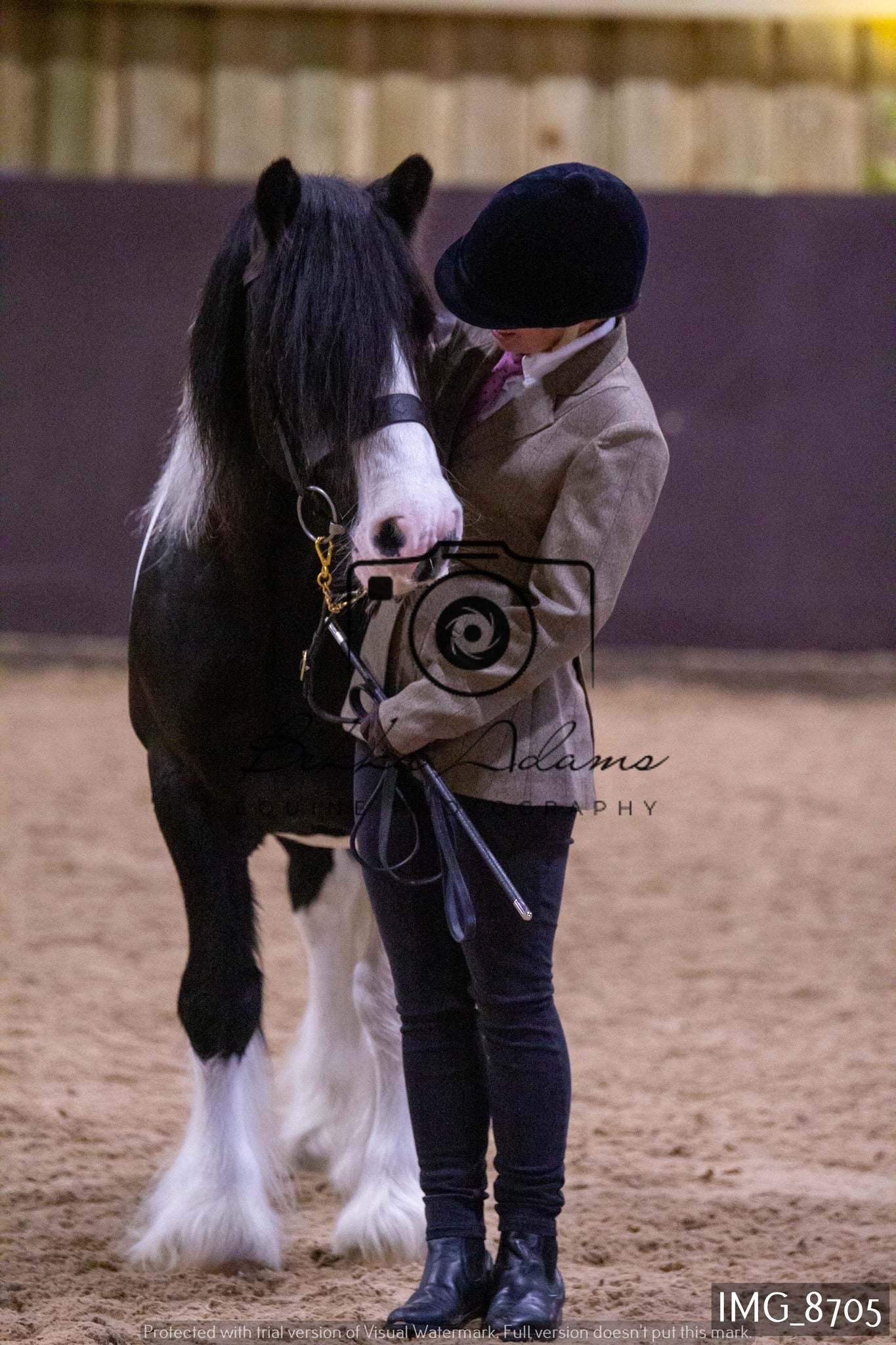 JHOYS In Hand Showing