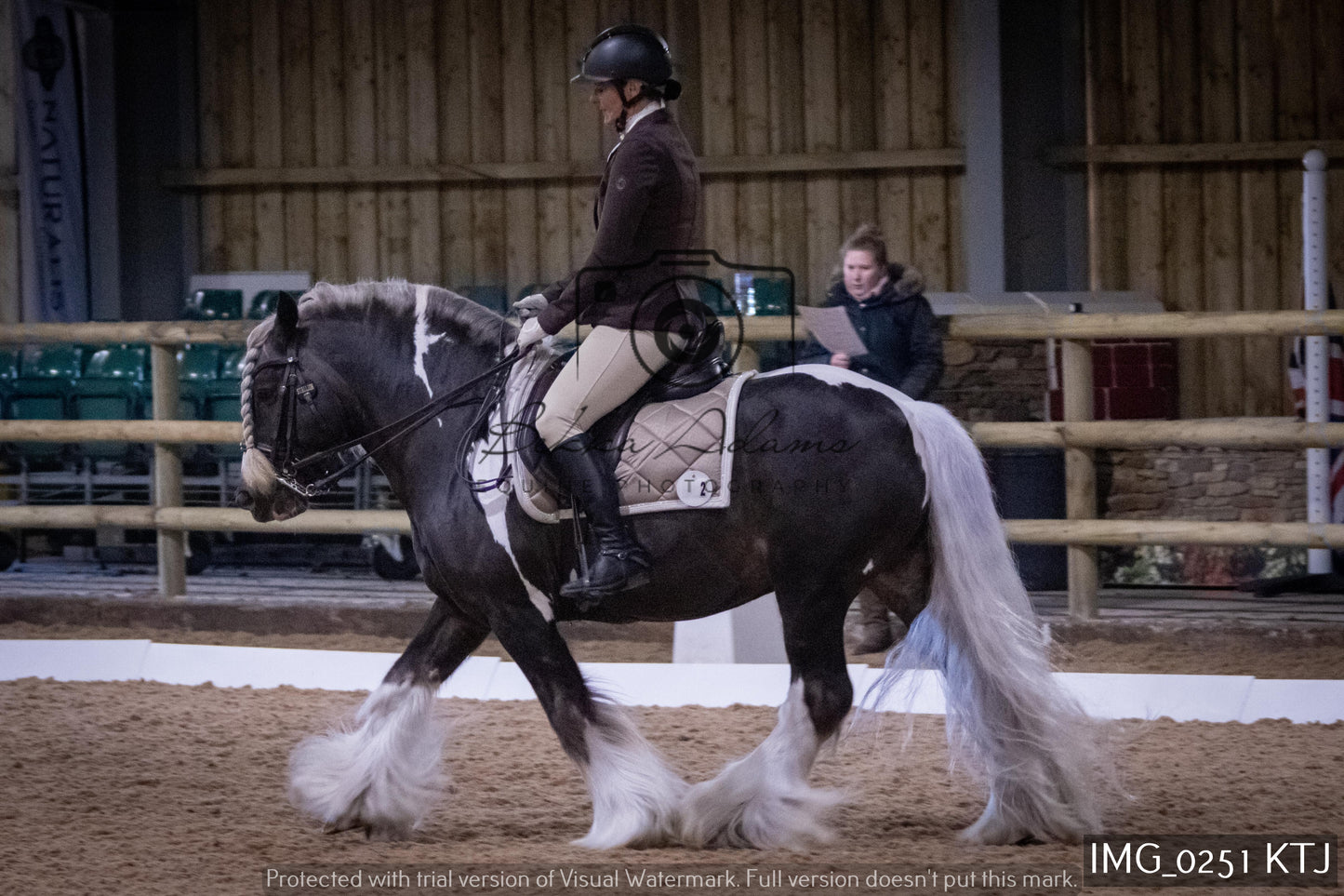 Home Farm Dressage 12th February - Seniors