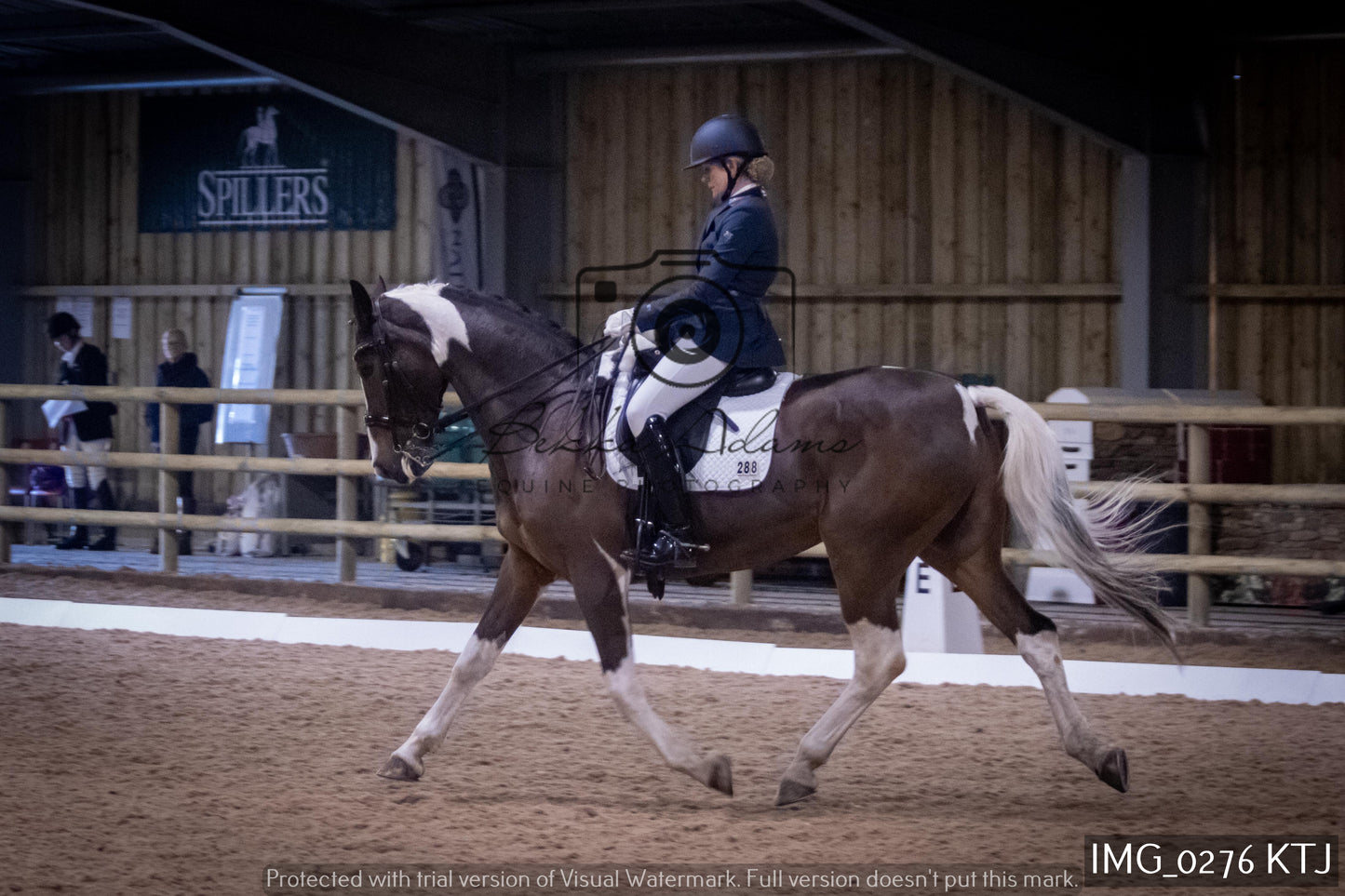 Home Farm Dressage 12th February - Seniors