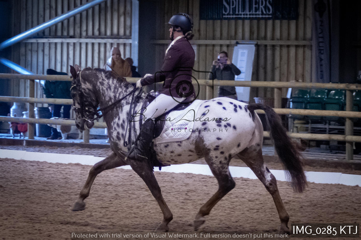 Home Farm Dressage 12th February - Seniors