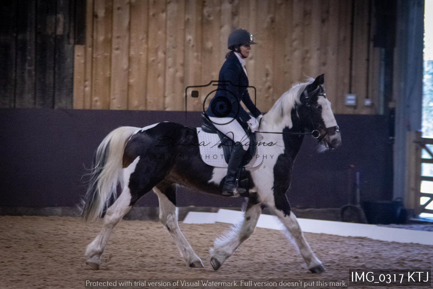 Home Farm Dressage 12th February - Seniors