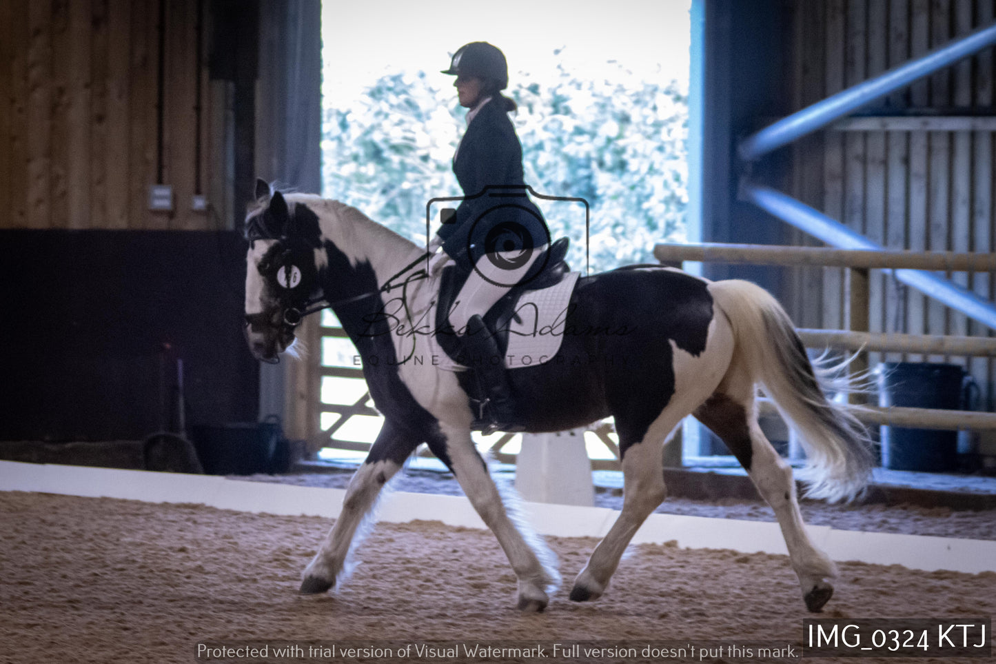 Home Farm Dressage 12th February - Seniors