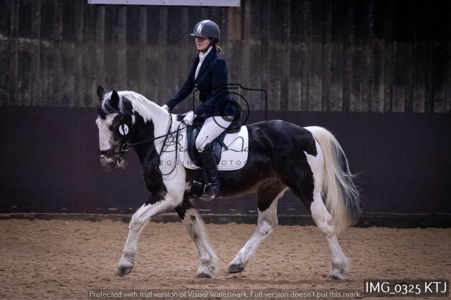 Home Farm Dressage 12th February - Seniors