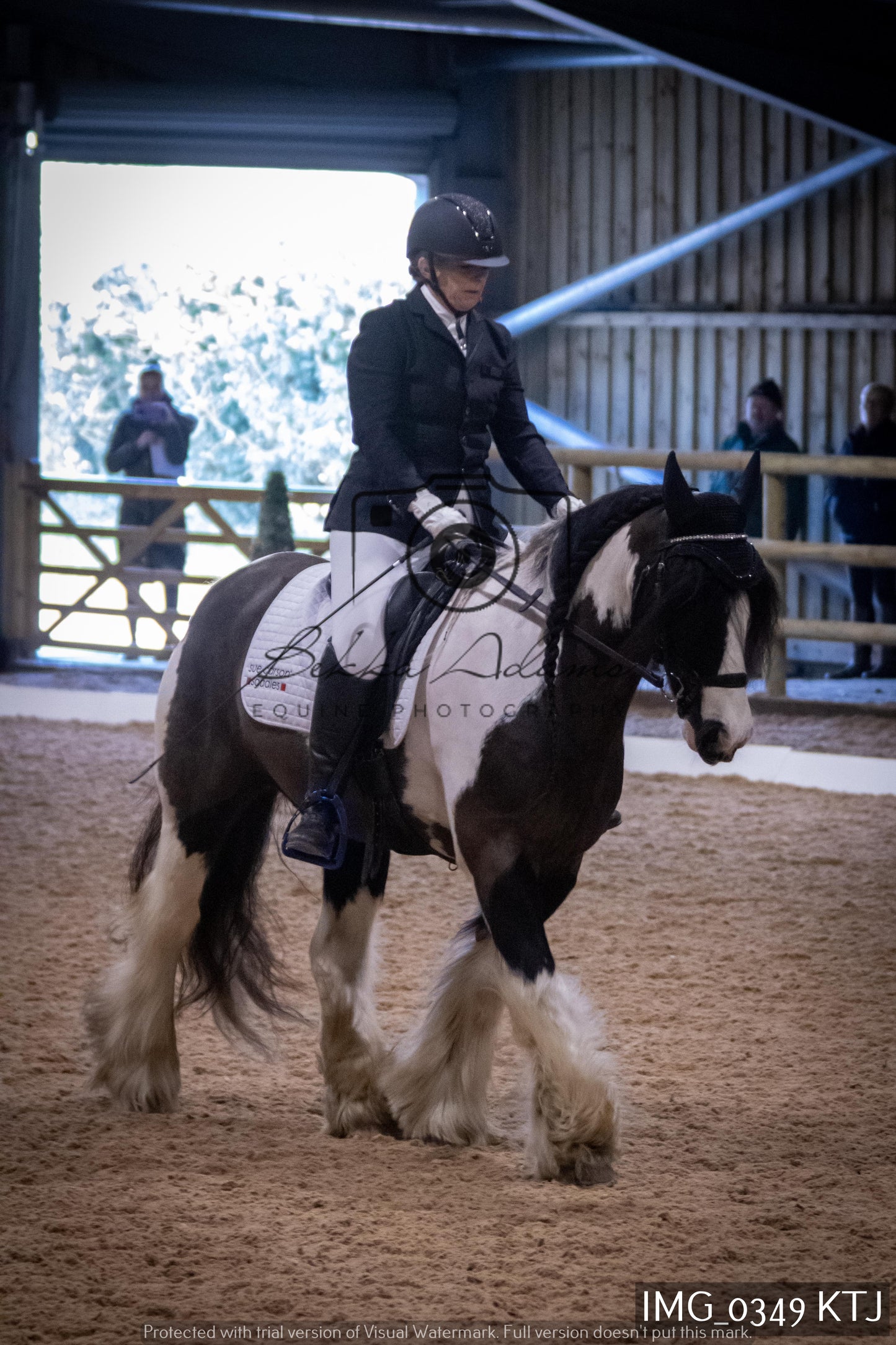 Home Farm Dressage 12th February - Seniors