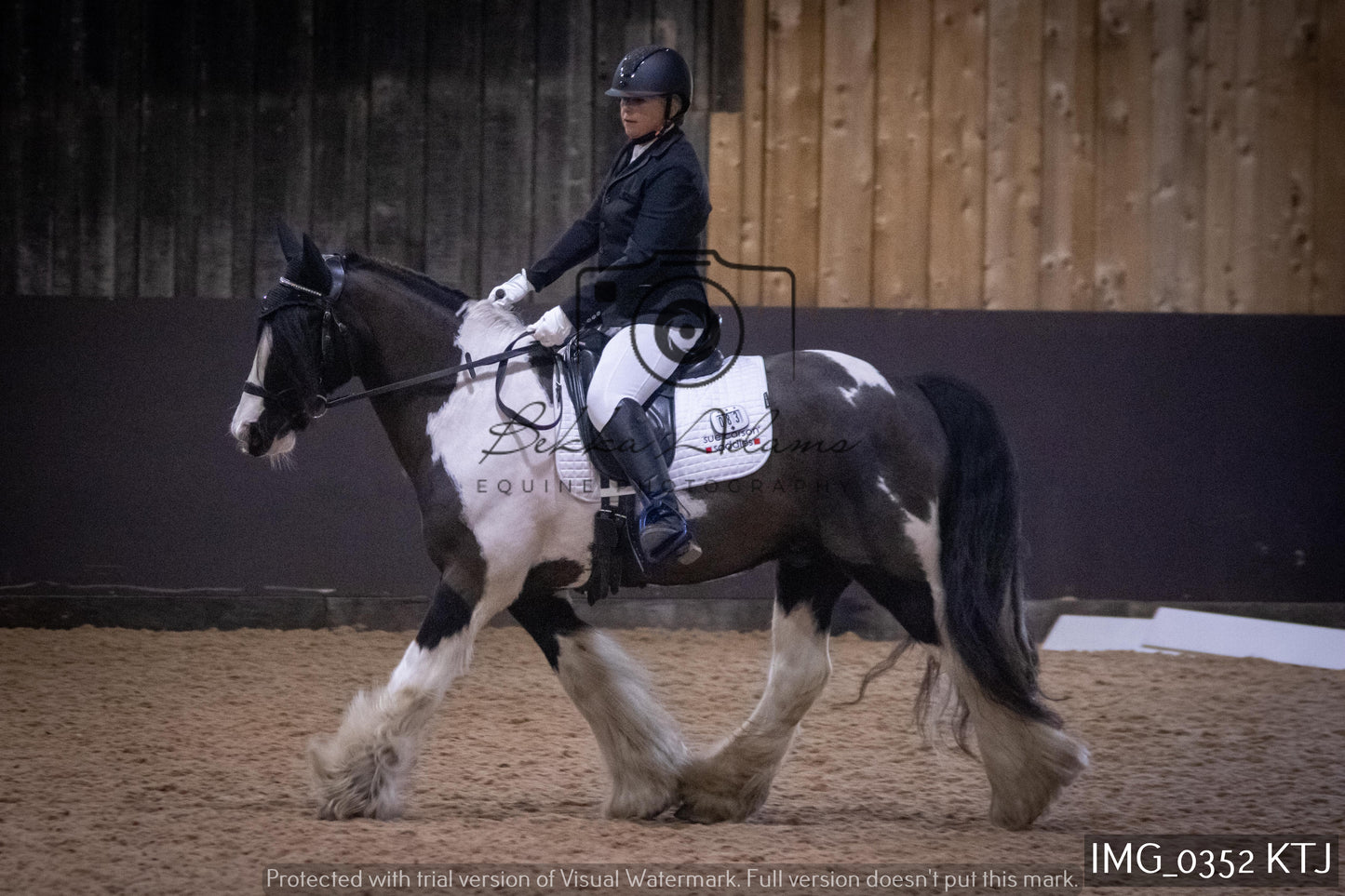 Home Farm Dressage 12th February - Seniors