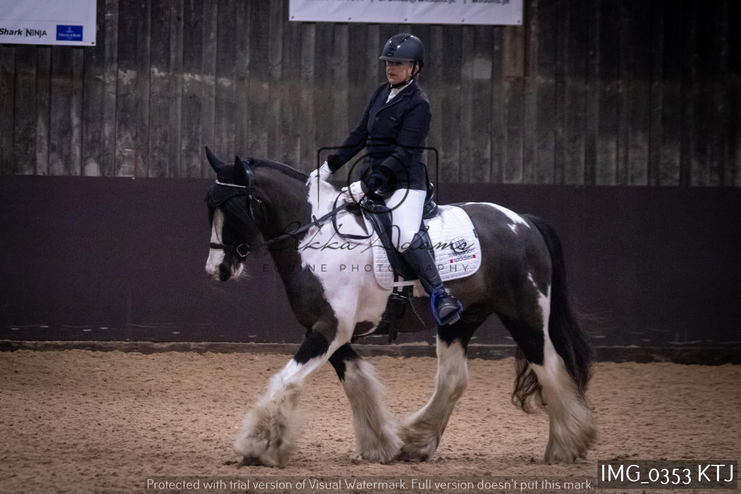 Home Farm Dressage 12th February - Seniors