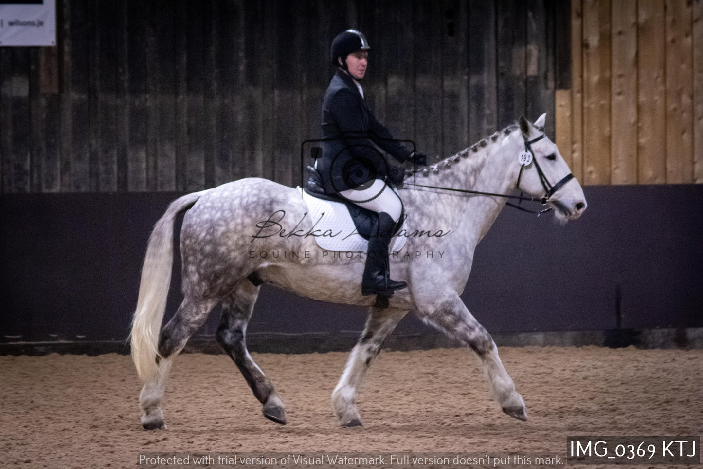 Home Farm Dressage 12th February - Seniors