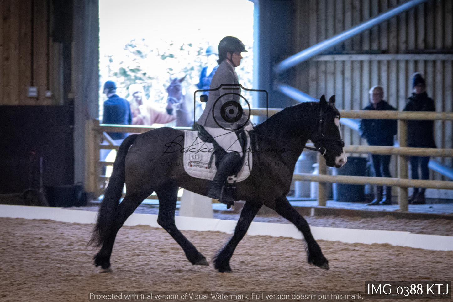 Home Farm Dressage 12th February - Seniors