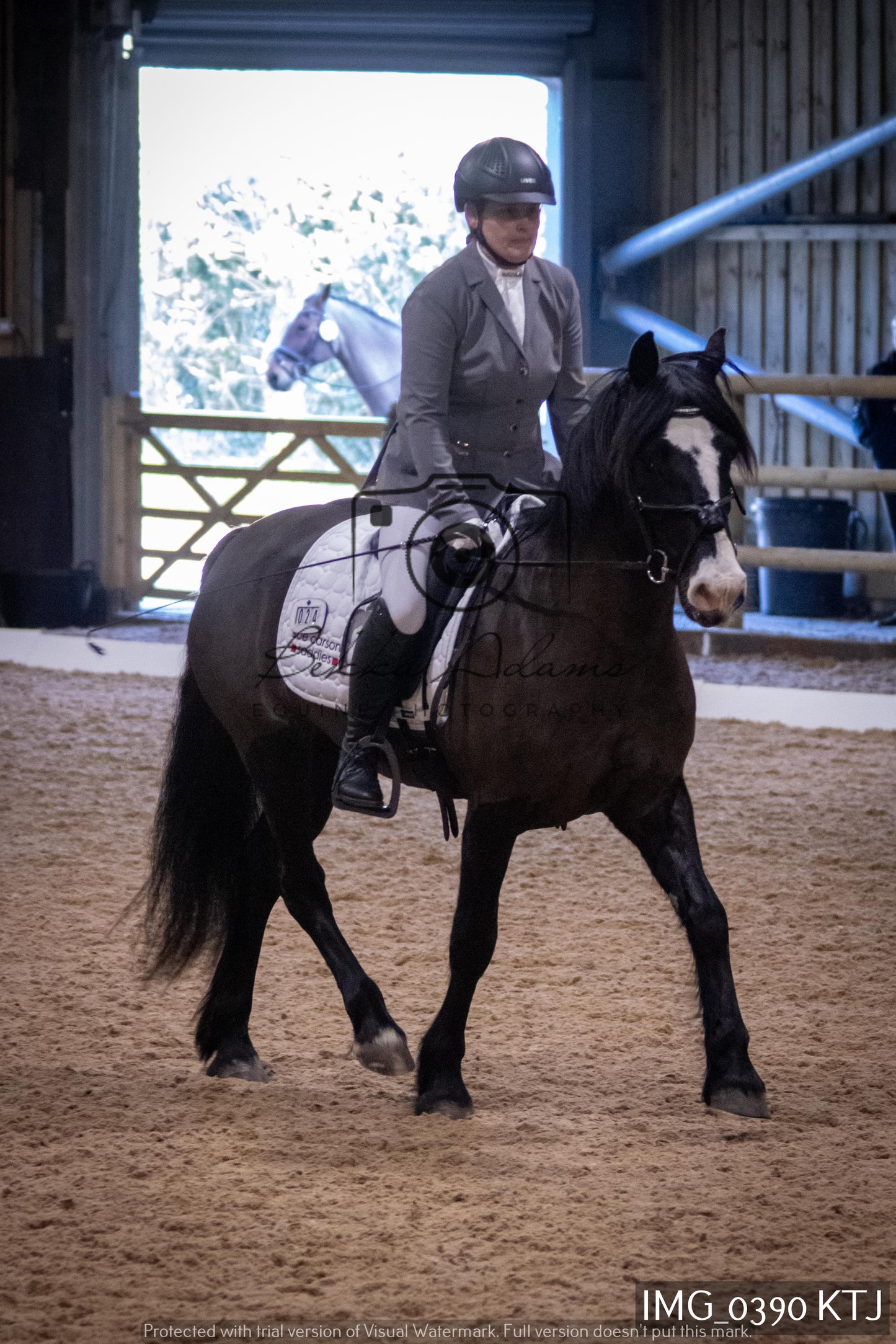 Home Farm Dressage 12th February - Seniors