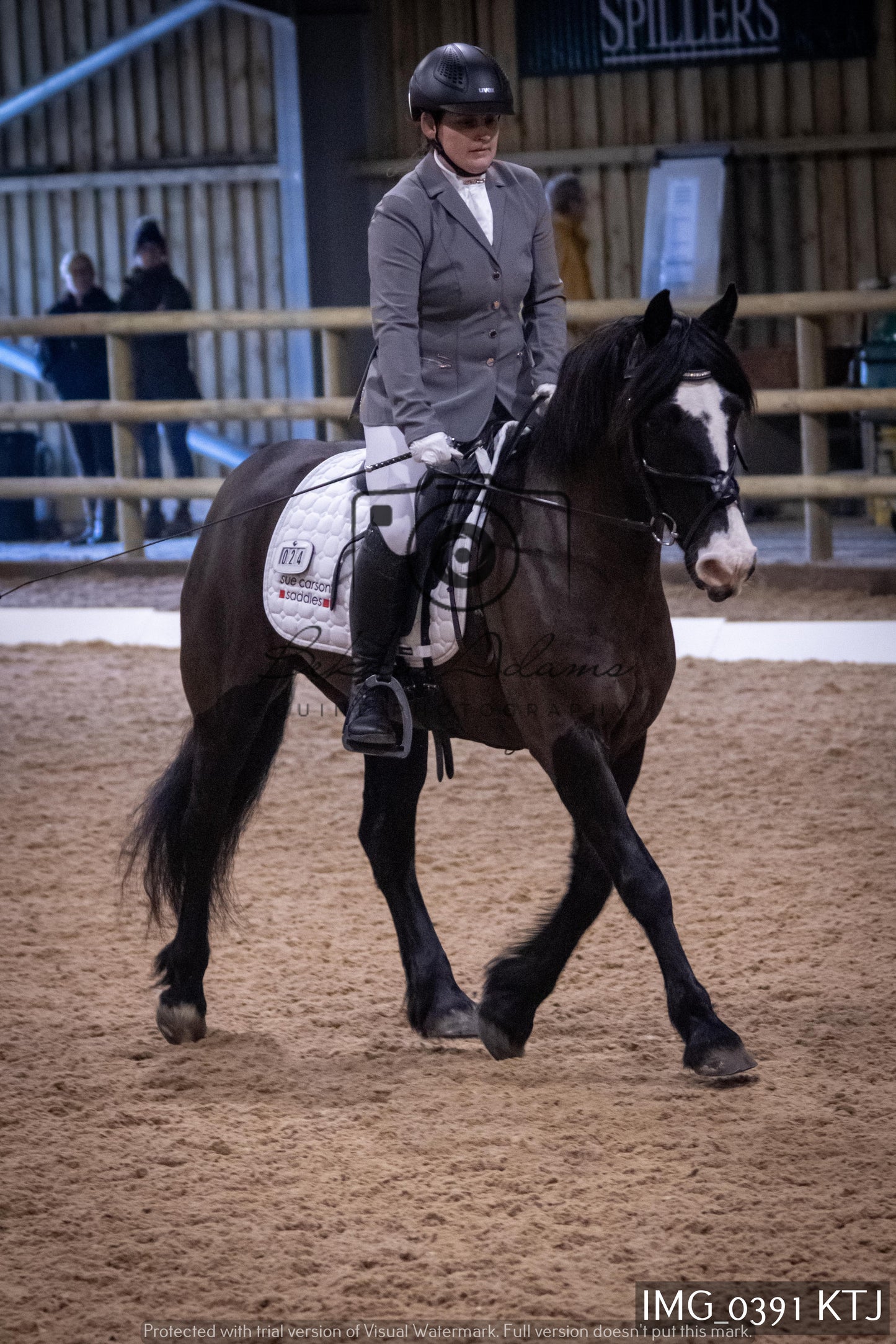 Home Farm Dressage 12th February - Seniors