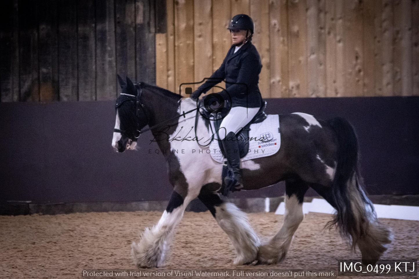 Home Farm Dressage 12th February - Seniors