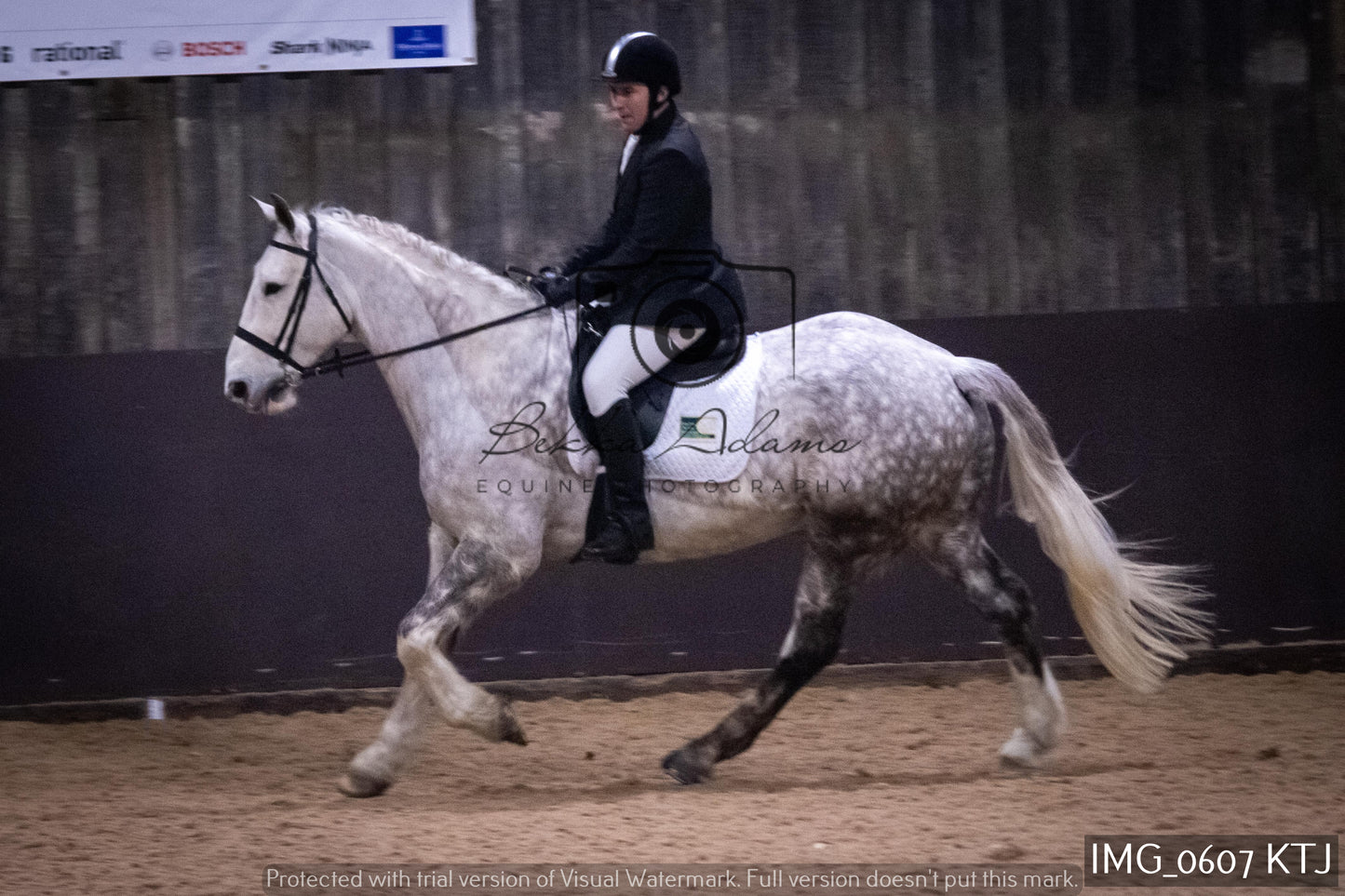 Home Farm Dressage 12th February - Seniors