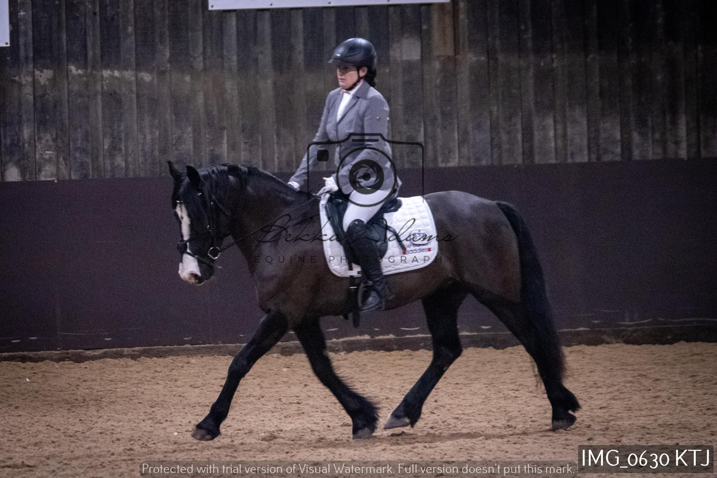 Home Farm Dressage 12th February - Seniors