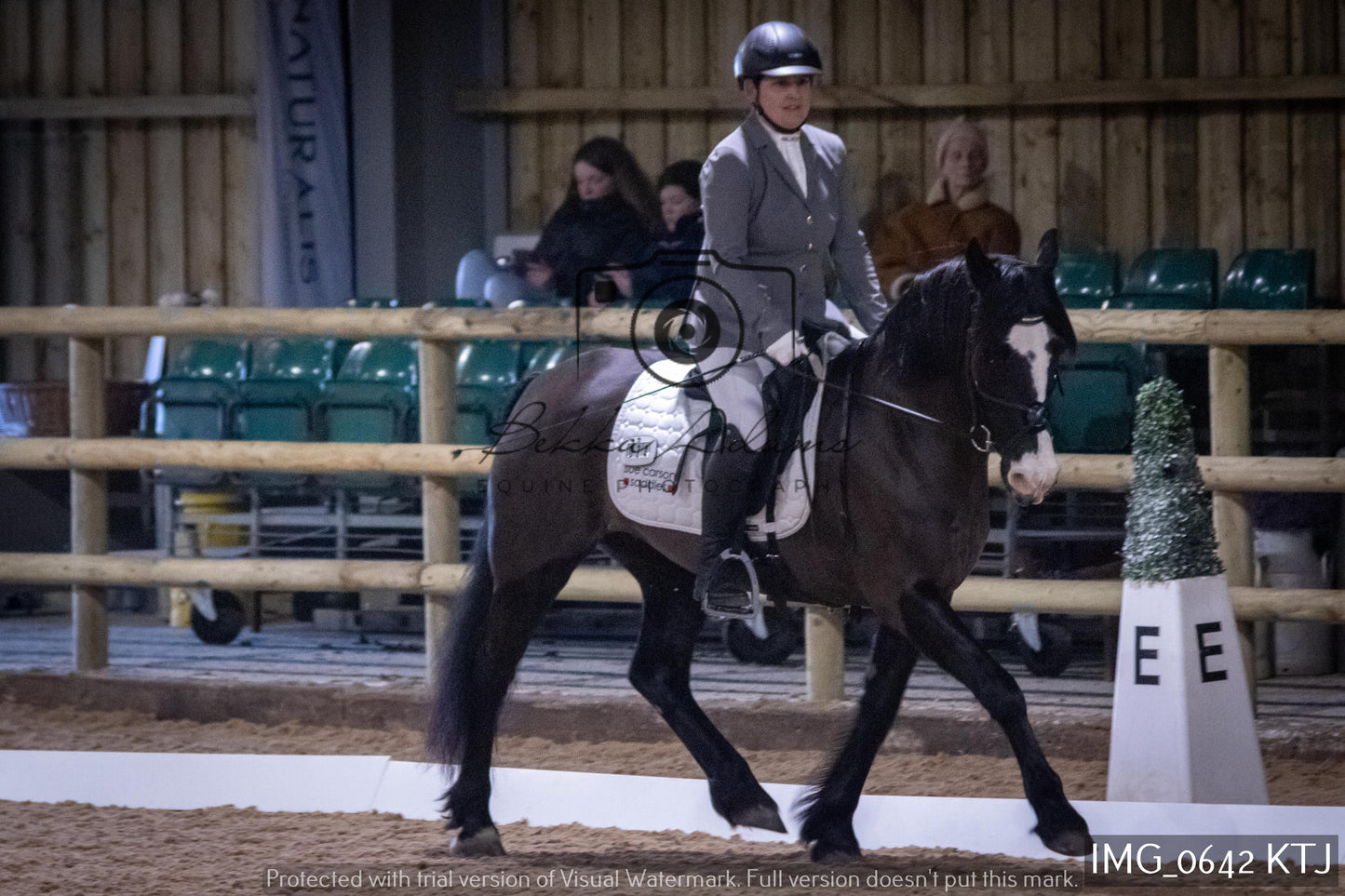 Home Farm Dressage 12th February - Seniors