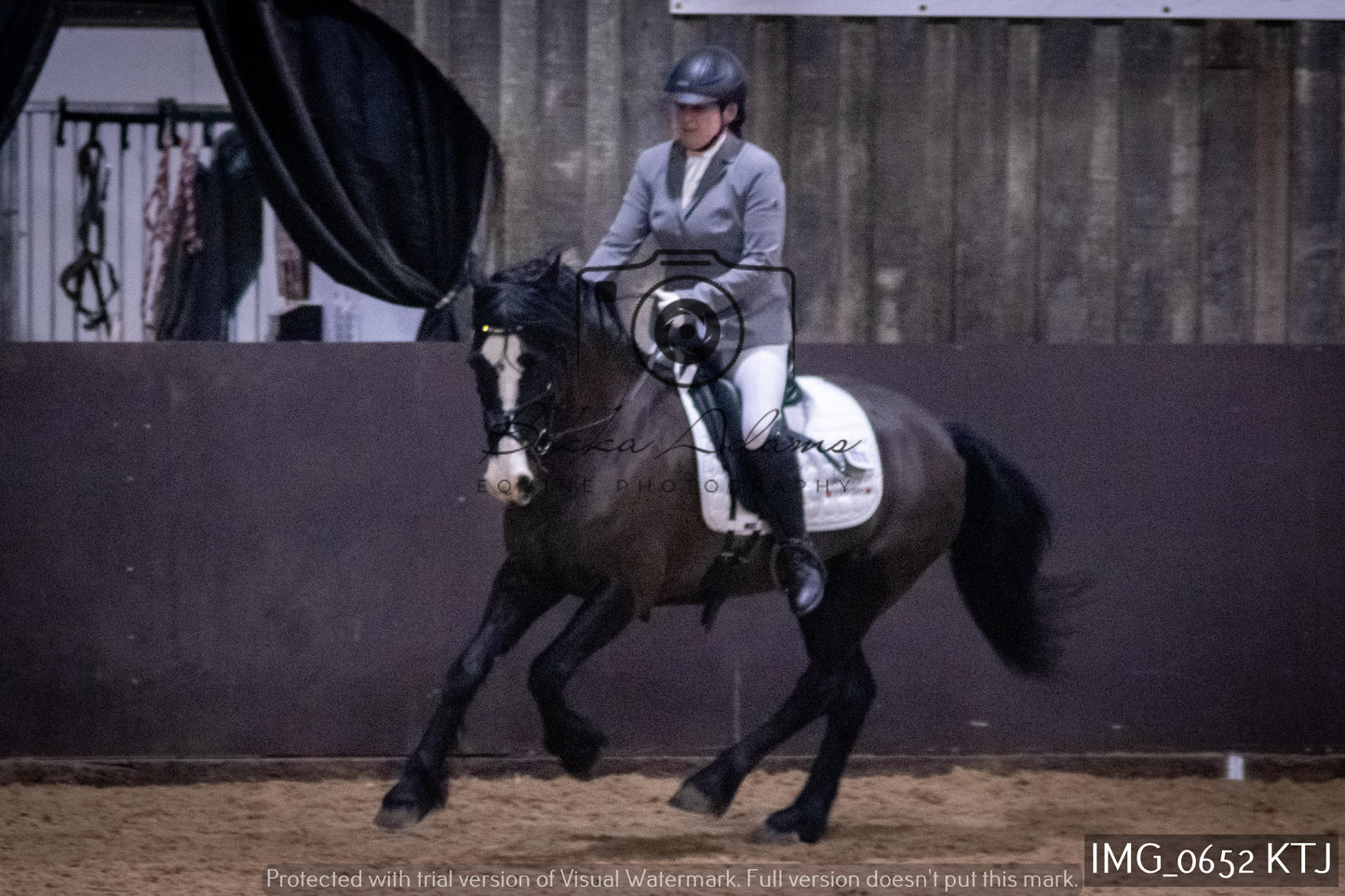 Home Farm Dressage 12th February - Seniors