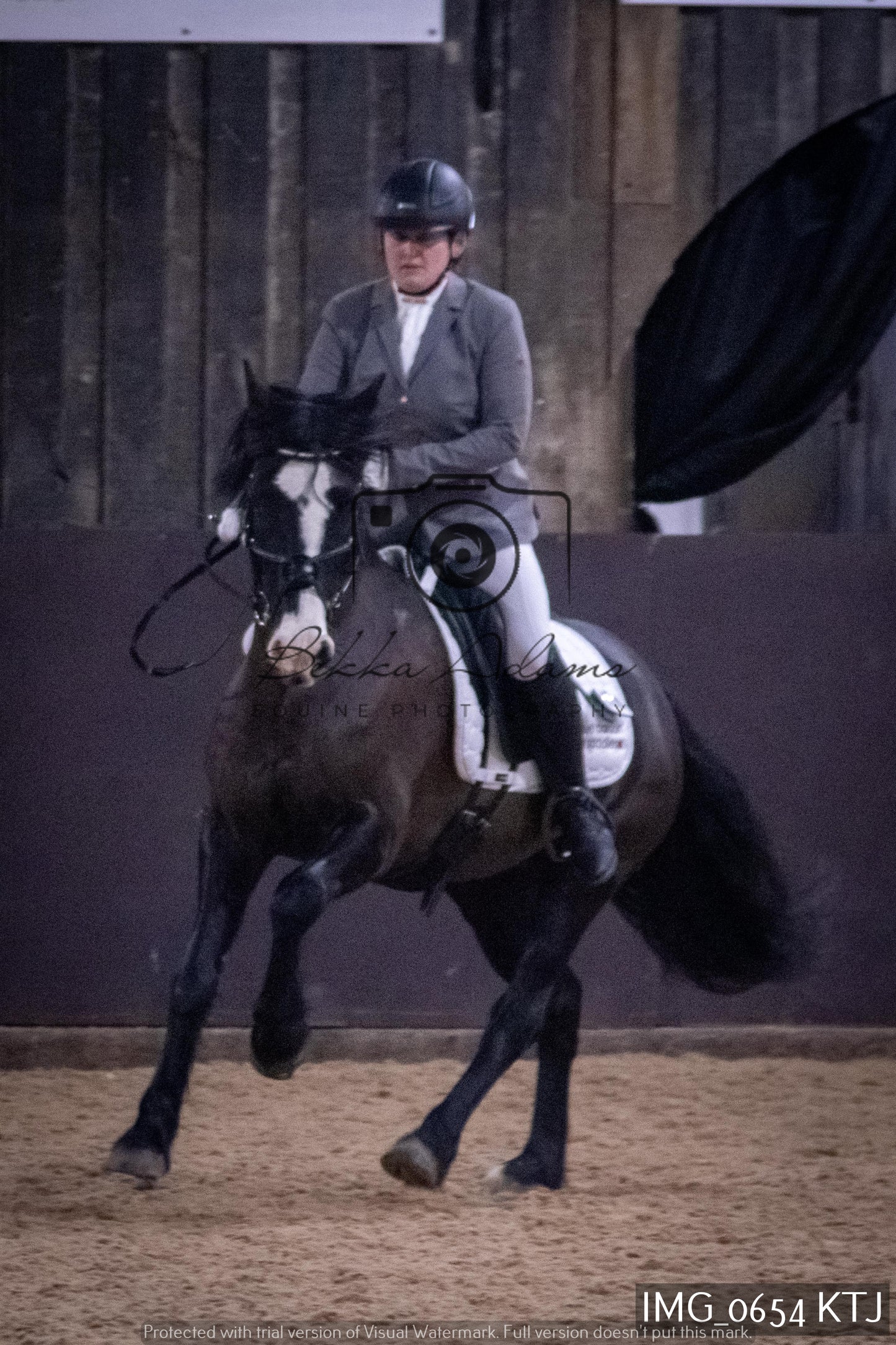 Home Farm Dressage 12th February - Seniors