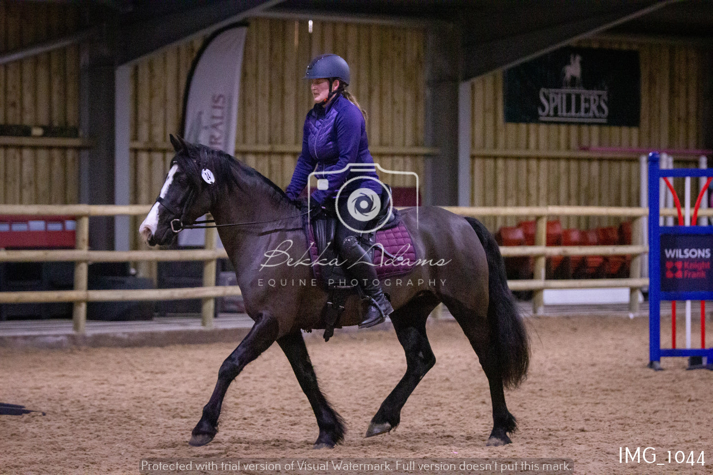 Home Farm New Year Showjumping - Seniors