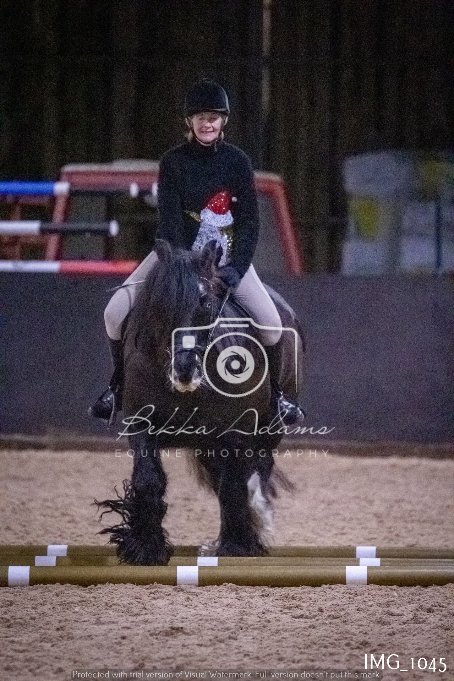 Home Farm New Year Showjumping - Seniors