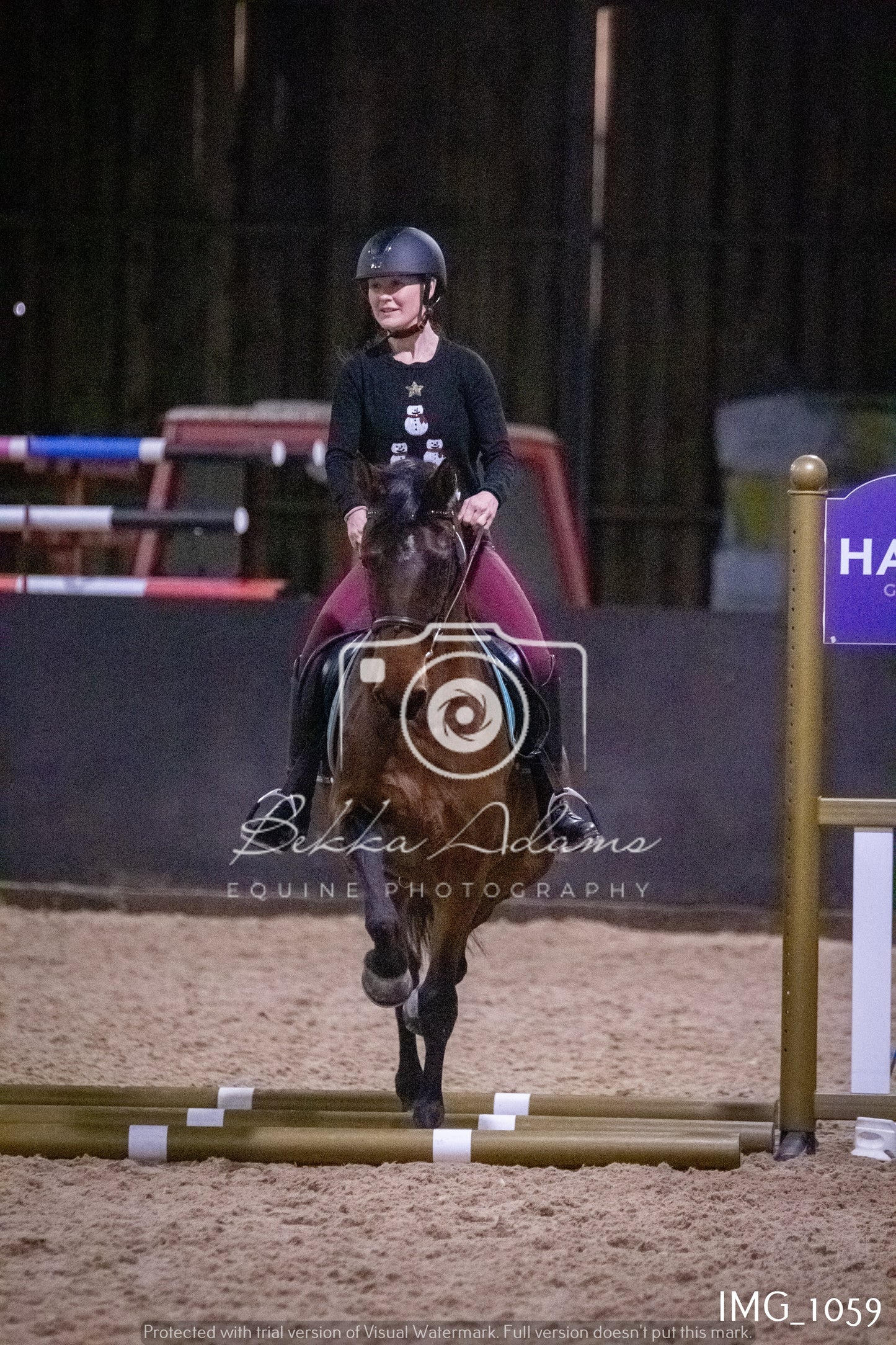 Home Farm New Year Showjumping - Seniors