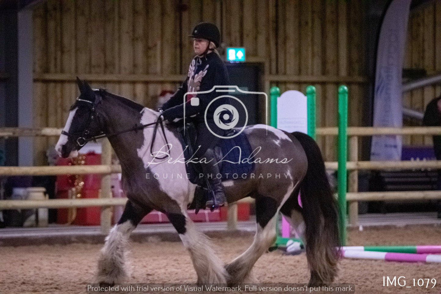 Home Farm New Year Showjumping - Seniors