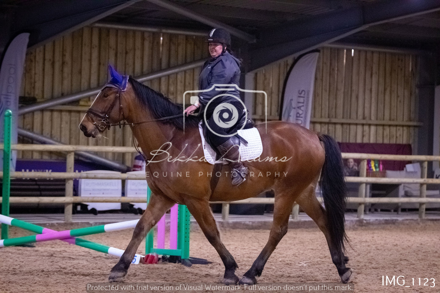 Home Farm New Year Showjumping - Seniors