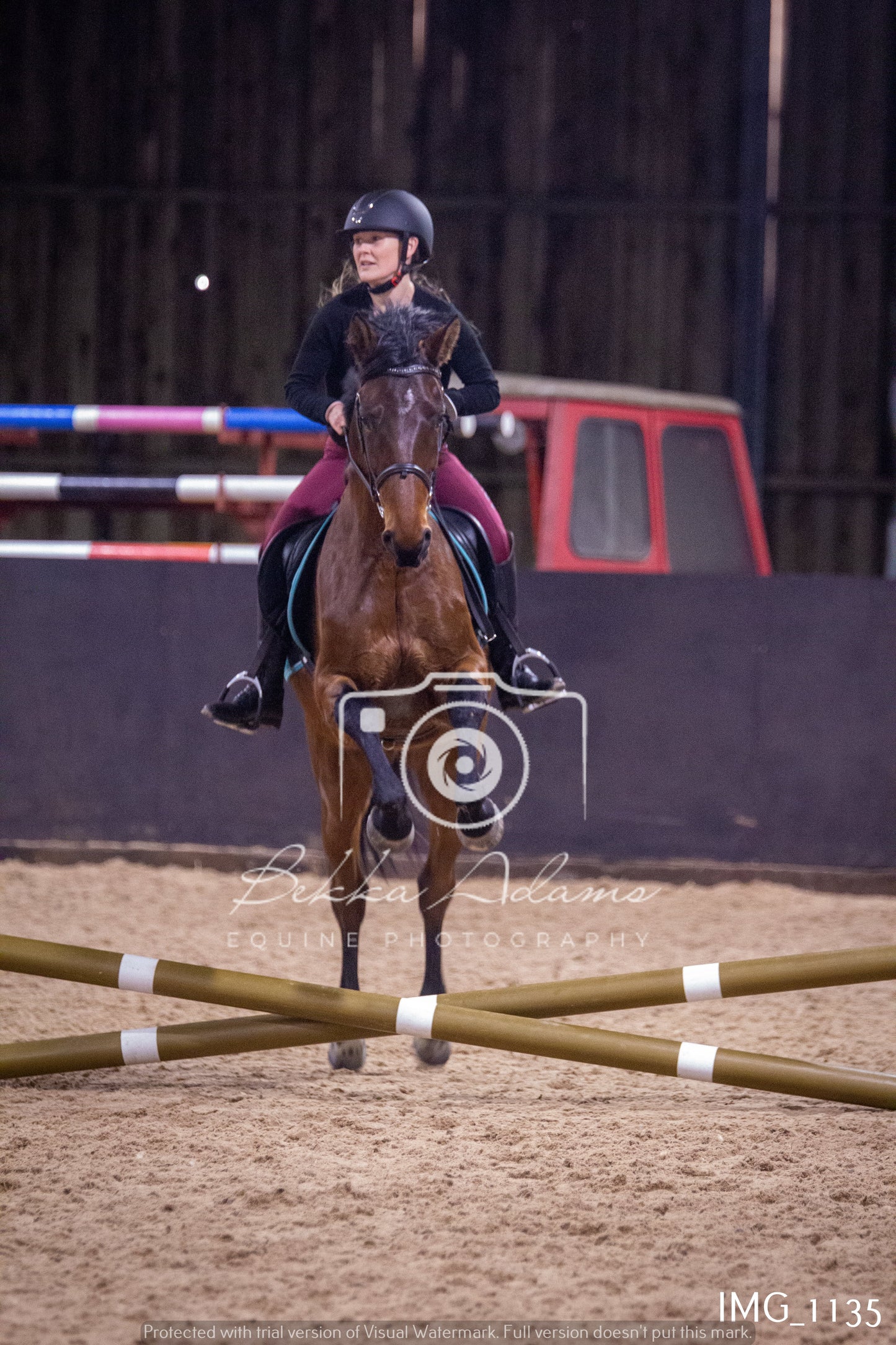 Home Farm New Year Showjumping - Seniors