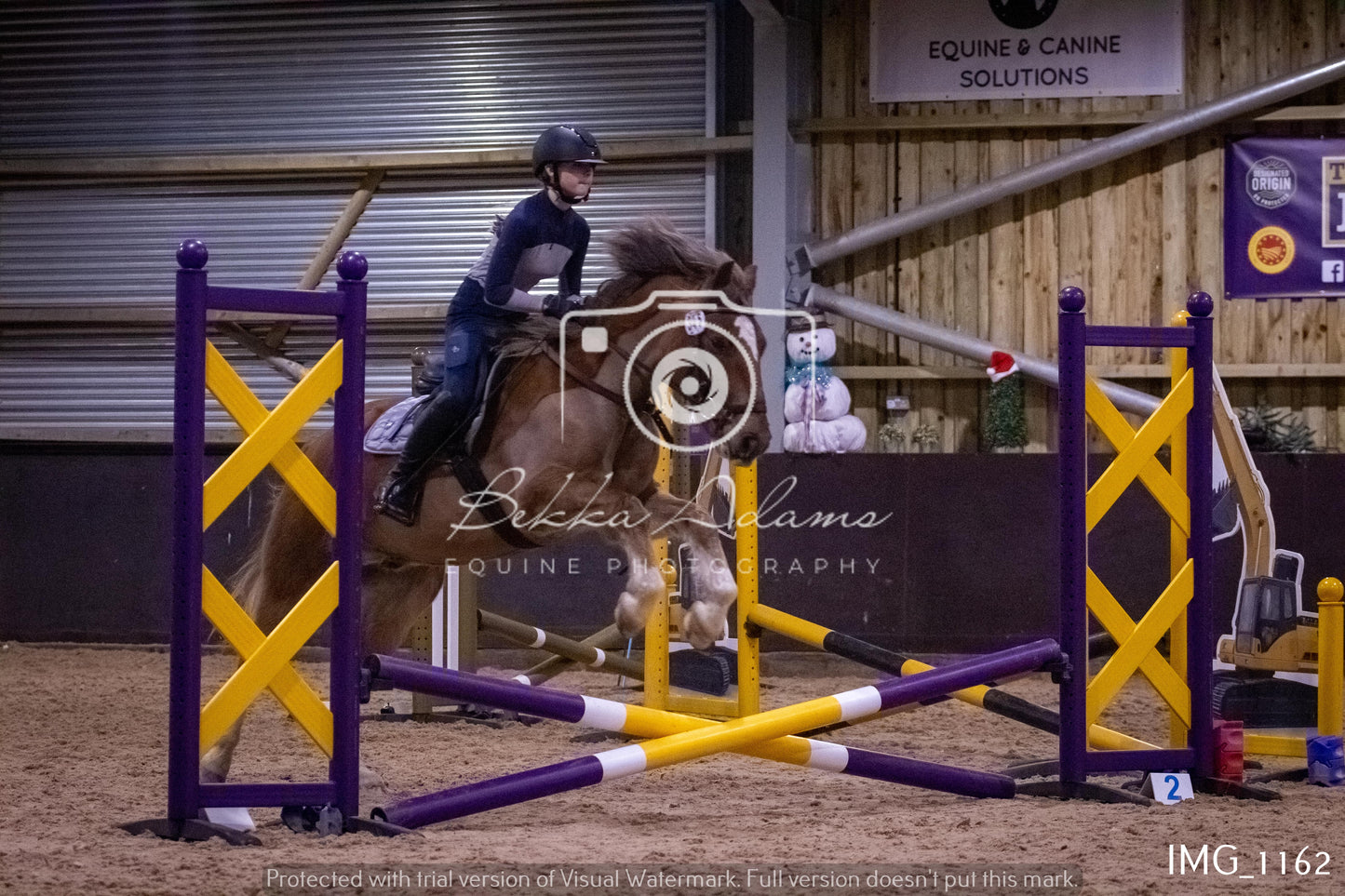 Home Farm New Year Showjumping - Seniors