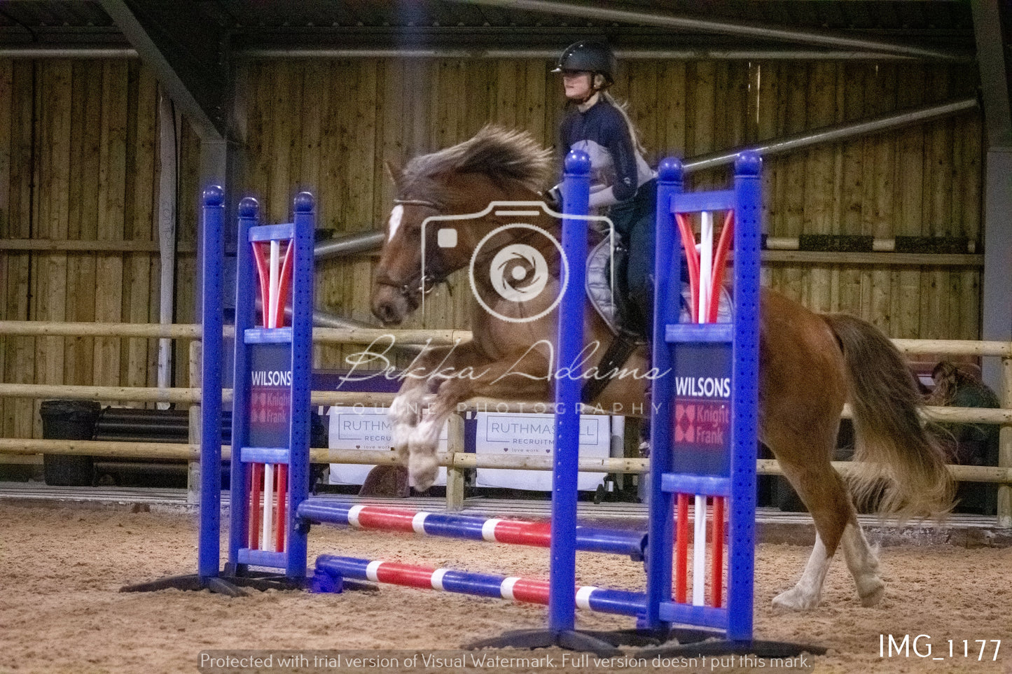 Home Farm New Year Showjumping - Seniors