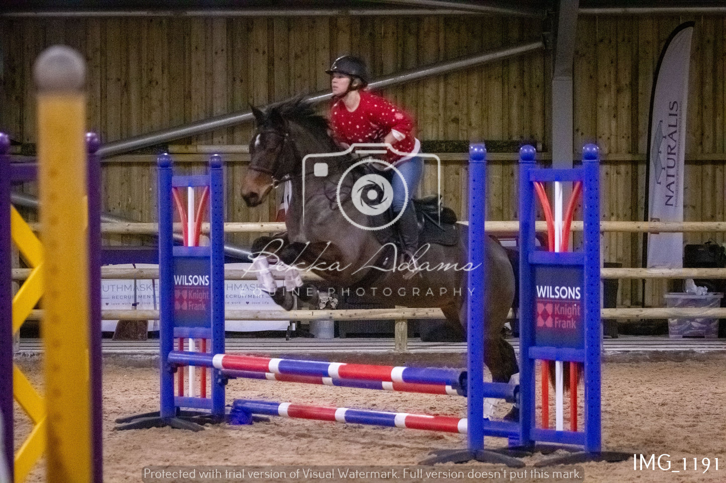 Home Farm New Year Showjumping - Seniors