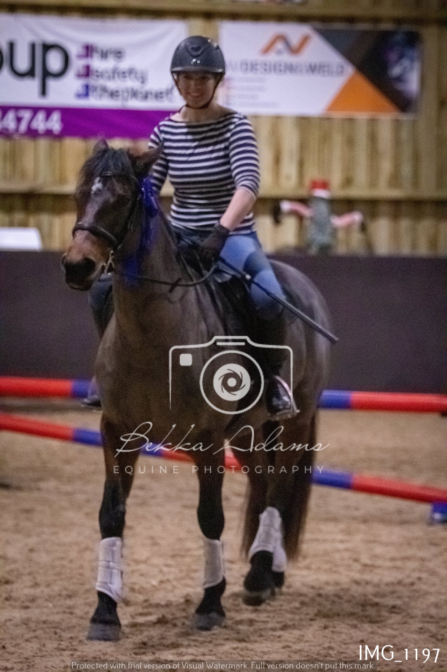 Home Farm New Year Showjumping - Seniors