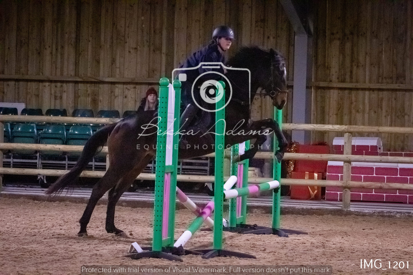 Home Farm New Year Showjumping - Seniors