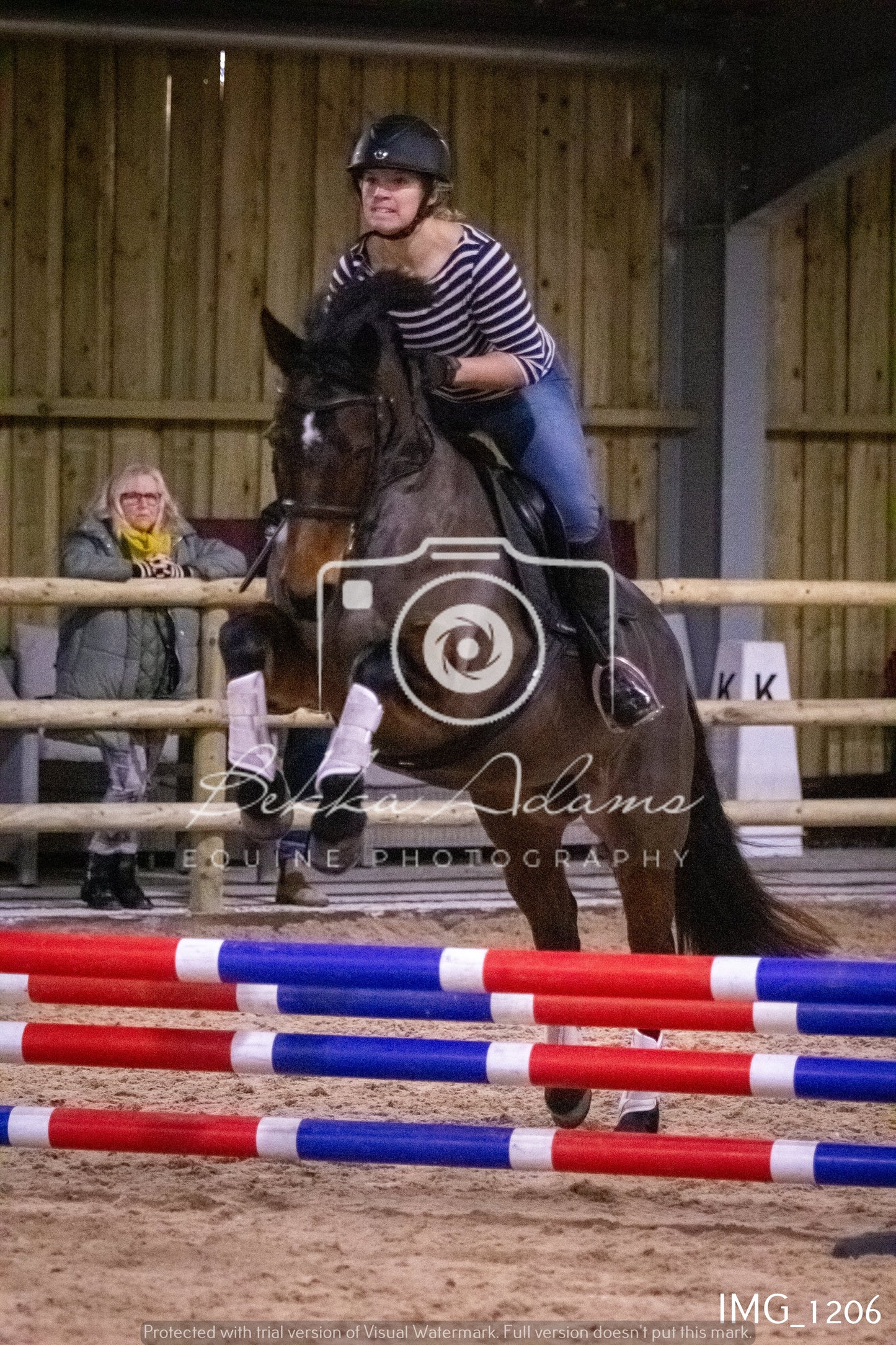 Home Farm New Year Showjumping - Seniors