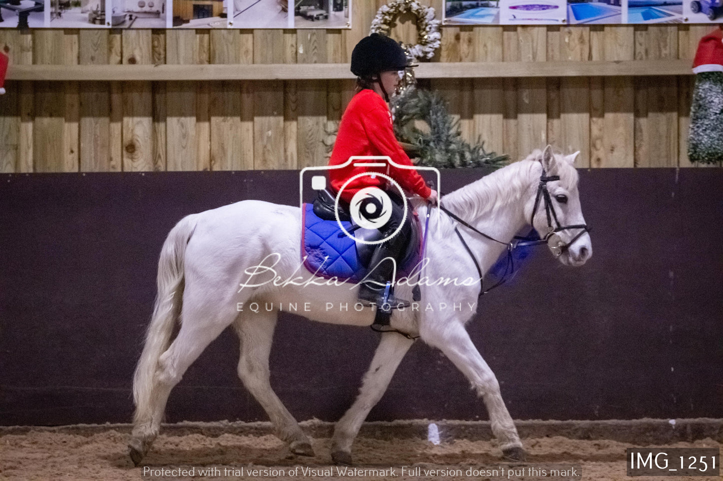 Home Farm New Year Showjumping 2nd January - Juniors
