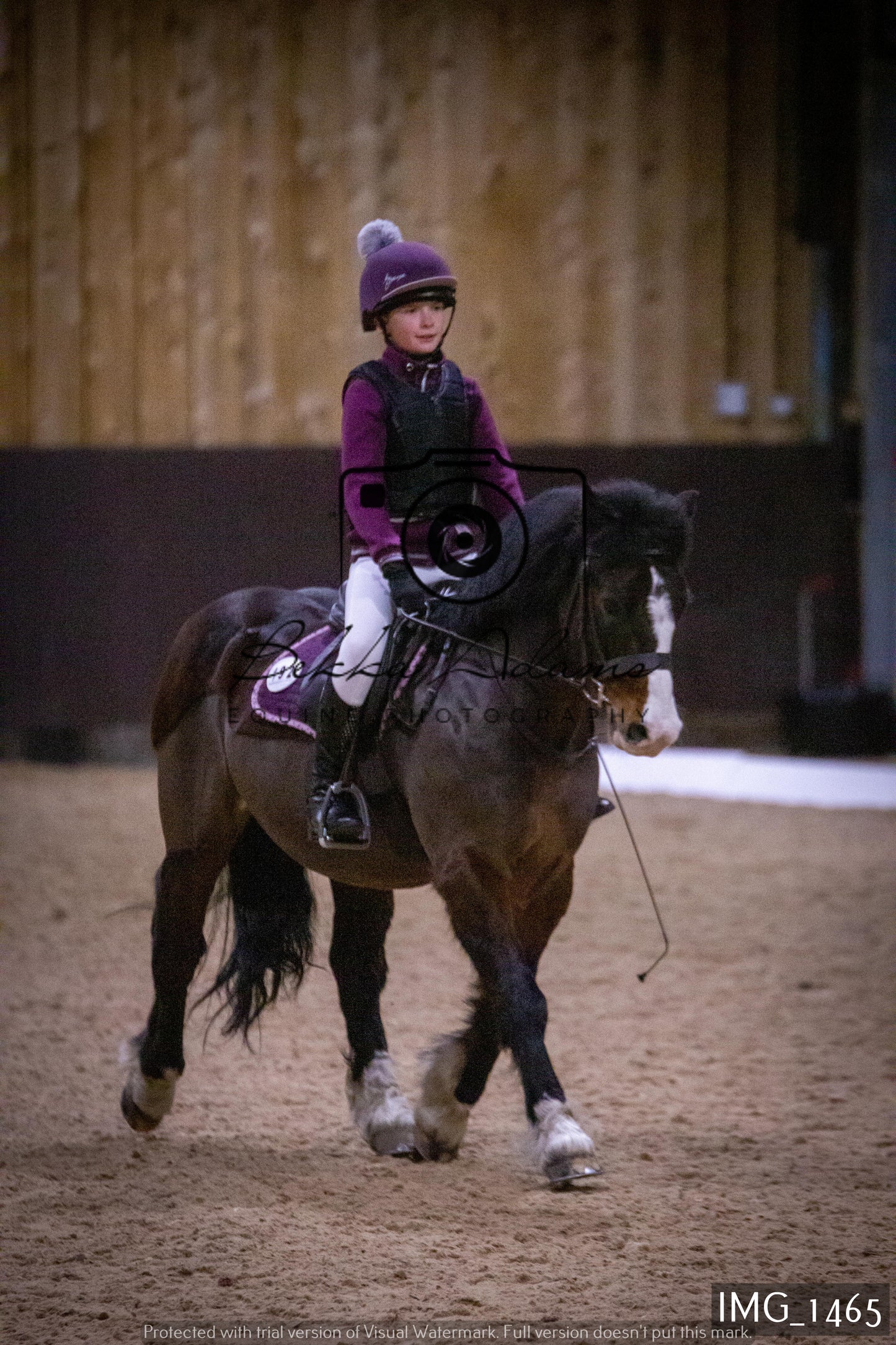 Home Farm Dressage 22nd January - Juniors