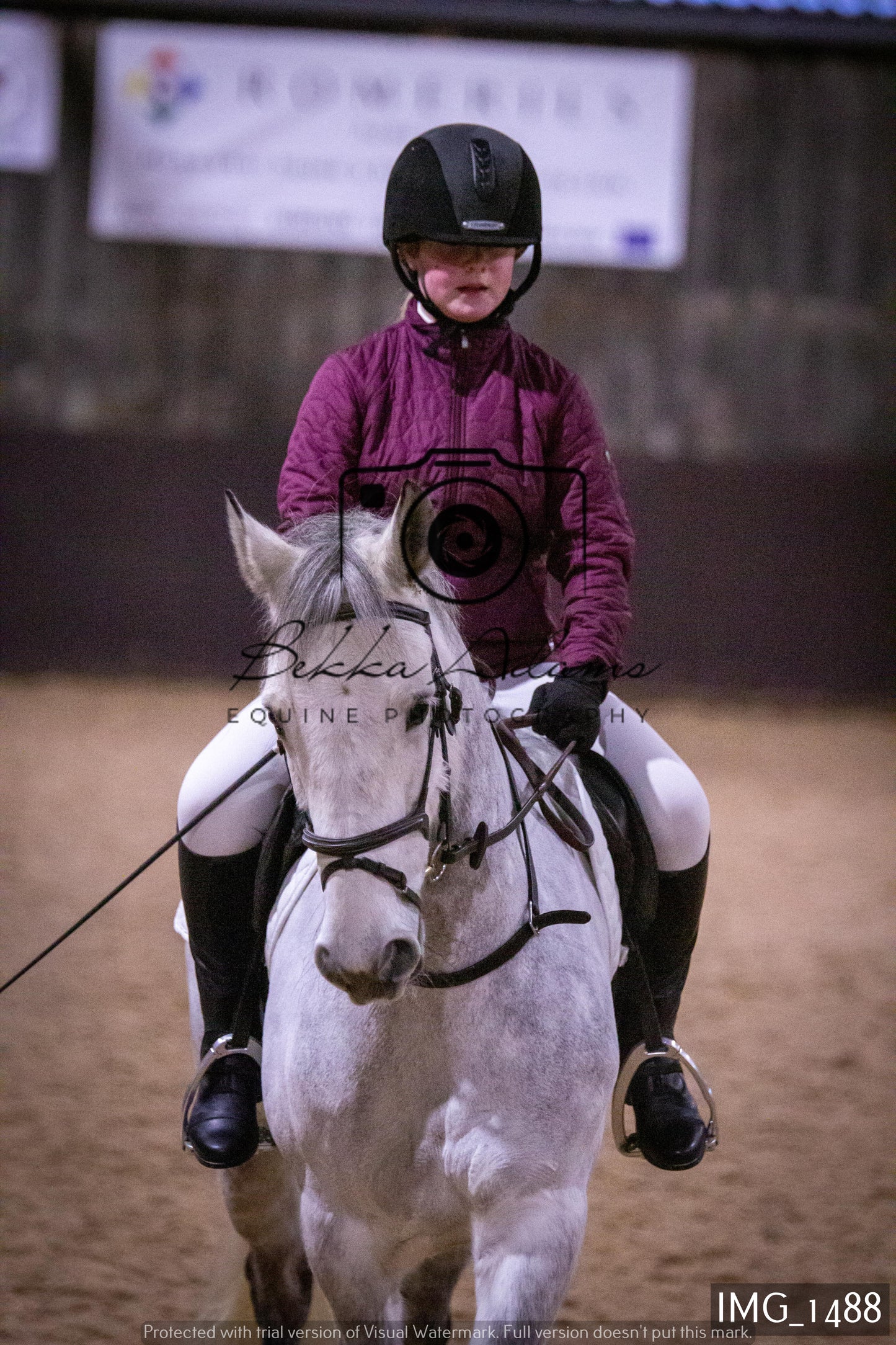 Home Farm Dressage 22nd January - Juniors