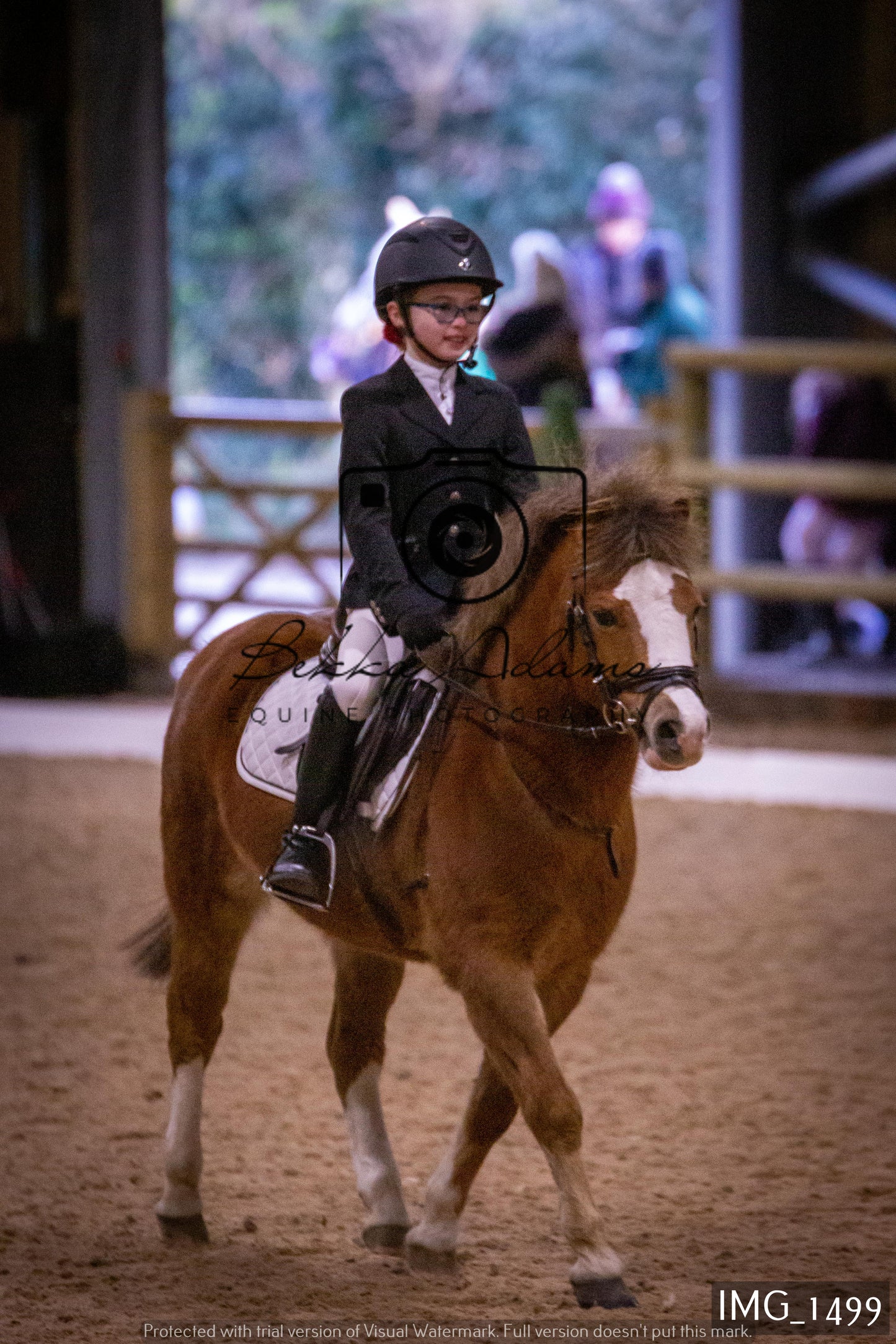 Home Farm Dressage 22nd January - Juniors