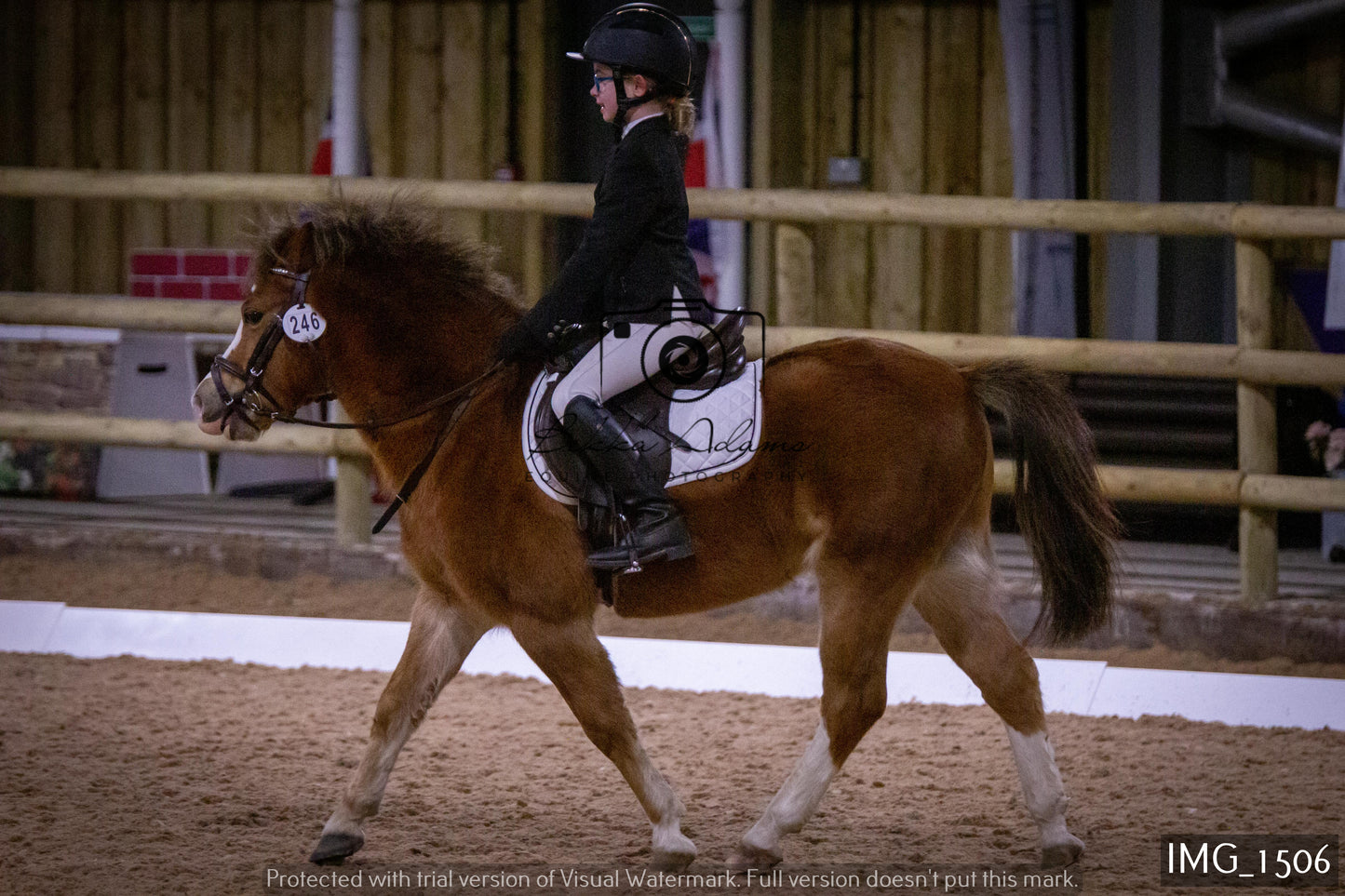 Home Farm Dressage 22nd January - Juniors