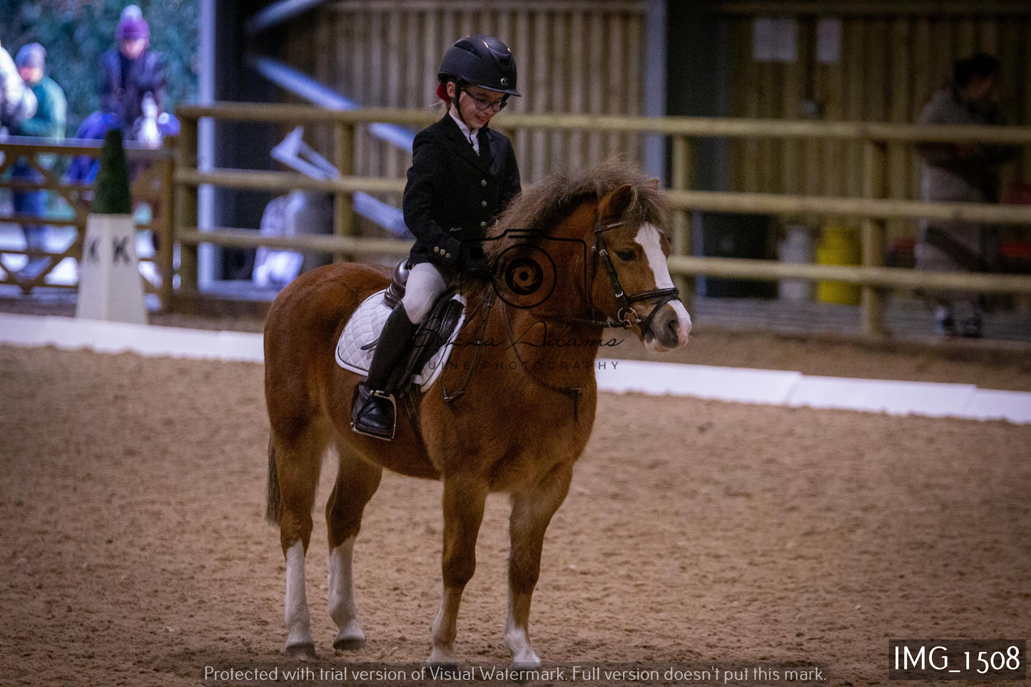 Home Farm Dressage 22nd January - Juniors