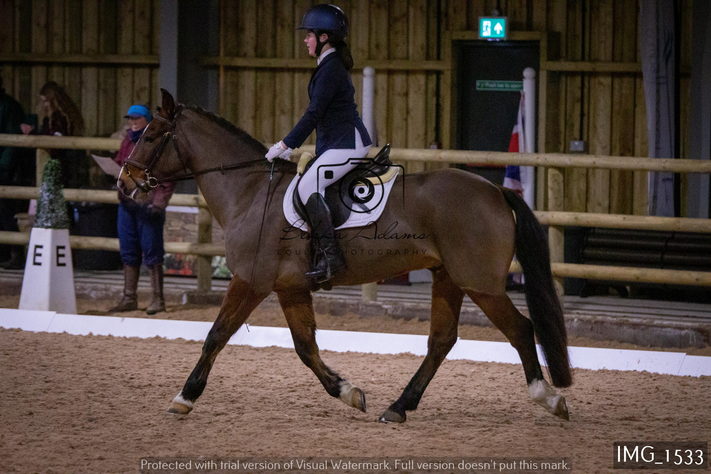 Home Farm Dressage 22nd January - Juniors