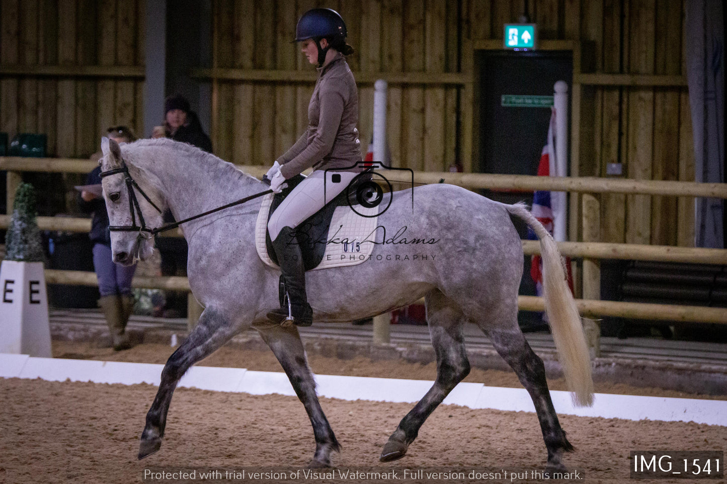 Home Farm Dressage 22nd January - Juniors