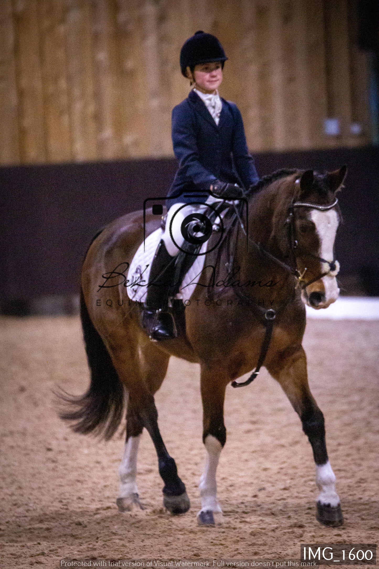 Home Farm Dressage 22nd January - Juniors