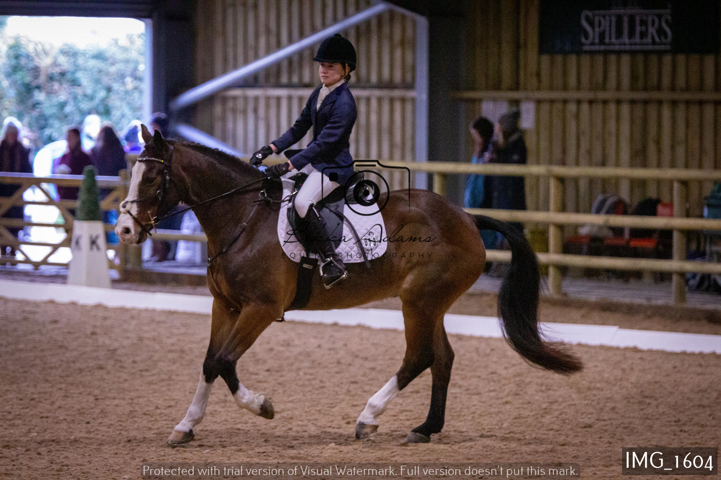 Home Farm Dressage 22nd January - Juniors