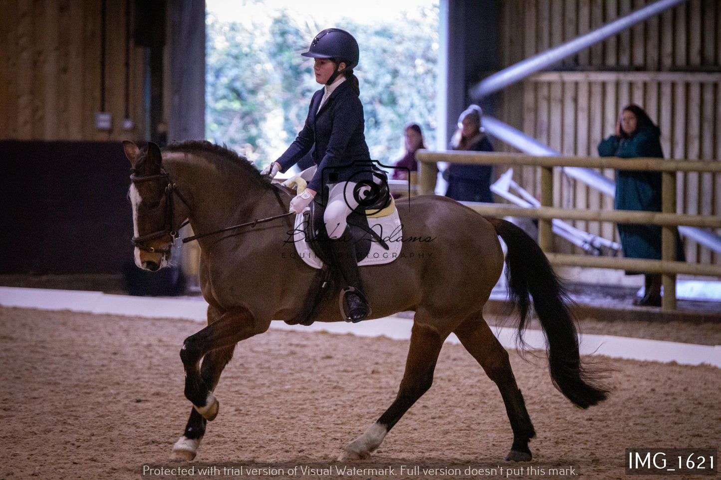 Home Farm Dressage 22nd January - Juniors