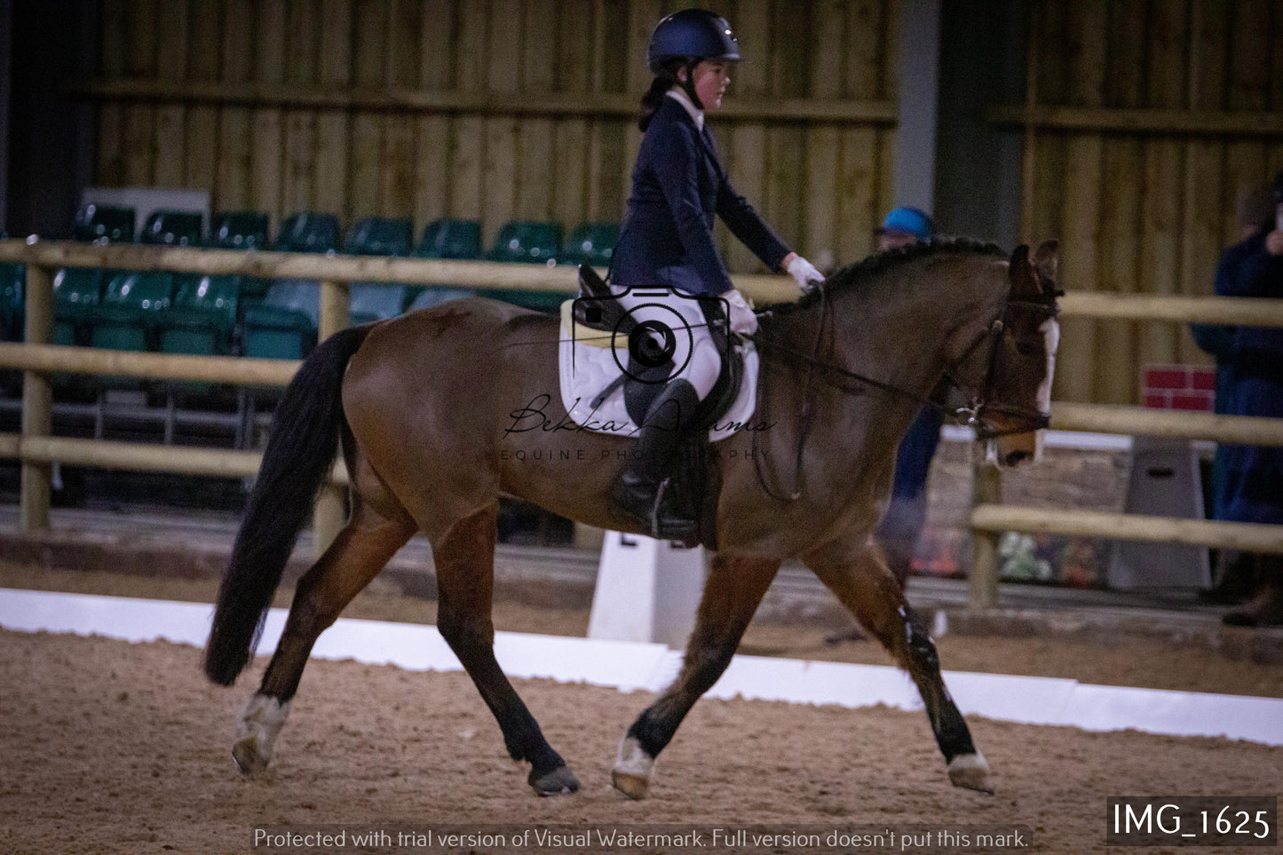 Home Farm Dressage 22nd January - Juniors