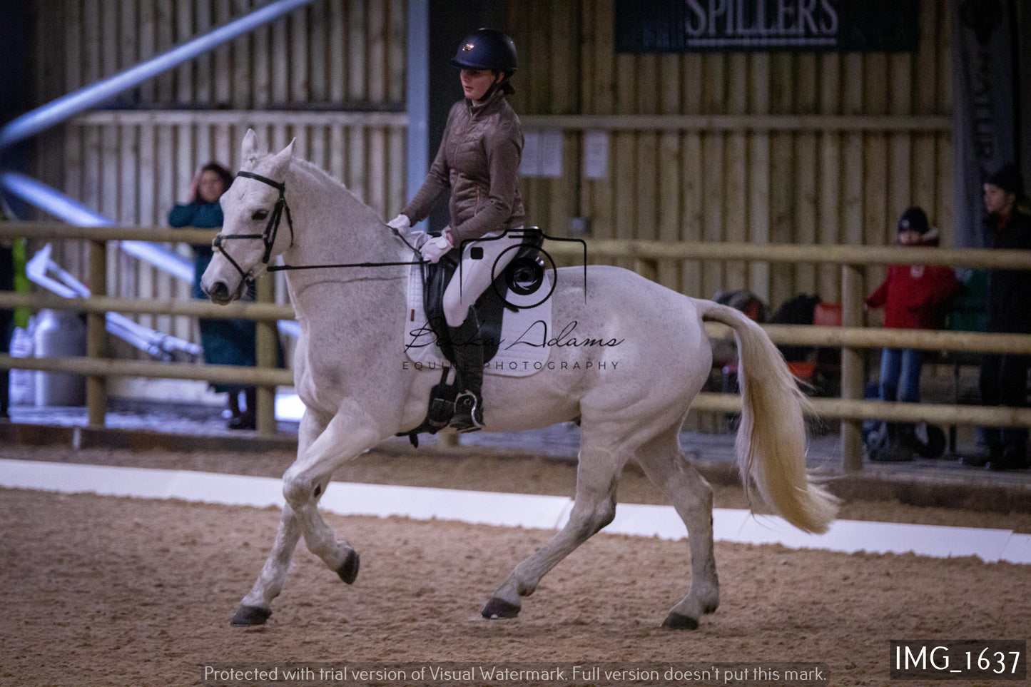 Home Farm Dressage 22nd January - Juniors