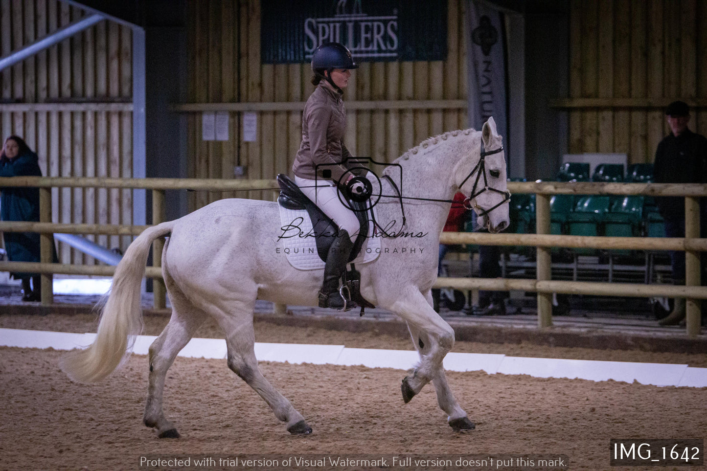 Home Farm Dressage 22nd January - Juniors