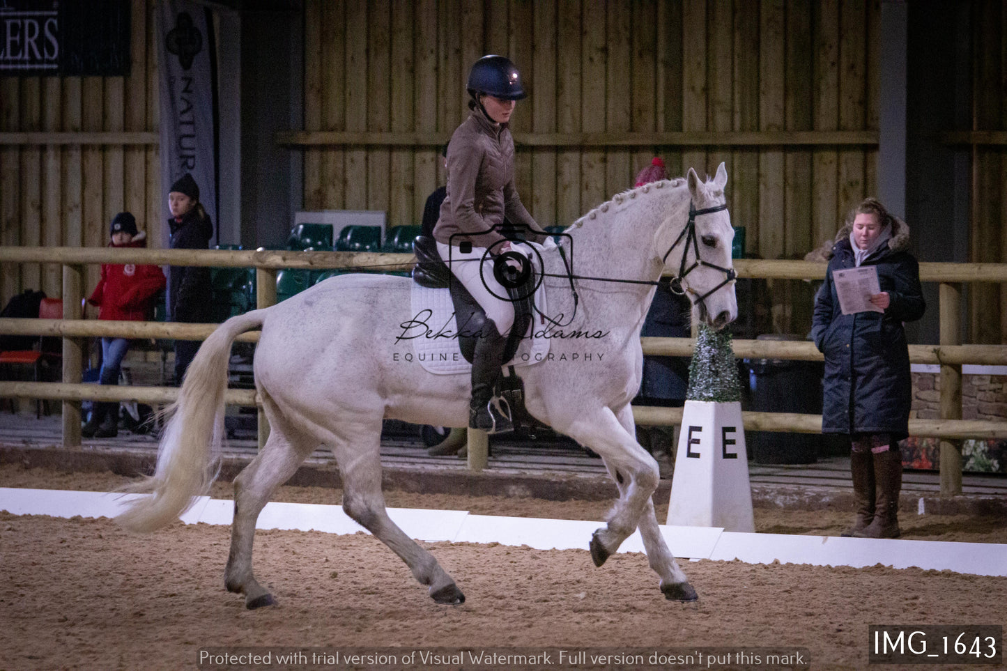 Home Farm Dressage 22nd January - Juniors