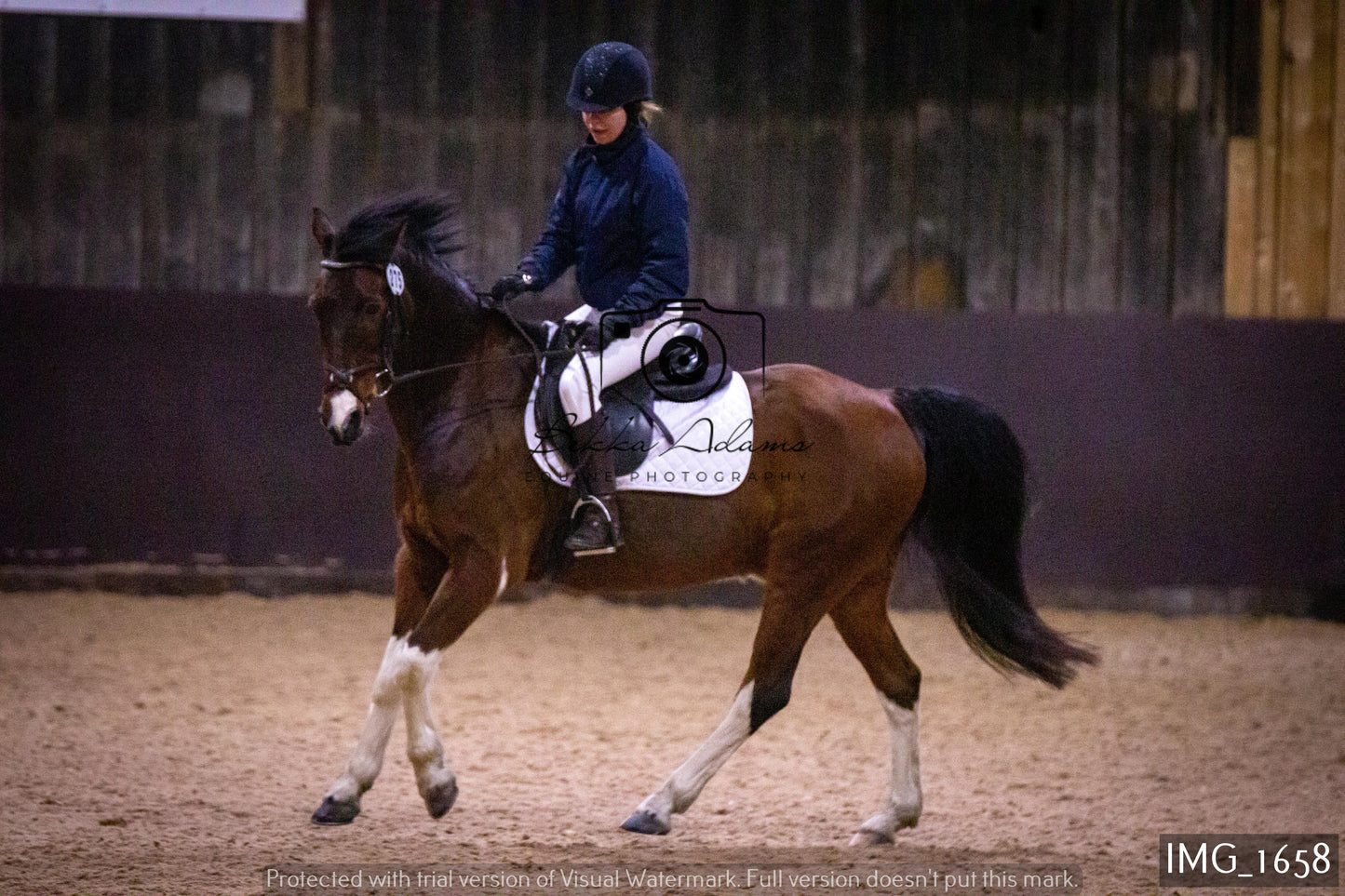 Home Farm Dressage 22nd January - Juniors